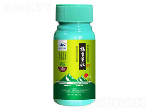 ����ѿ�ѣ��Ҹ����w�ʣ�-��������