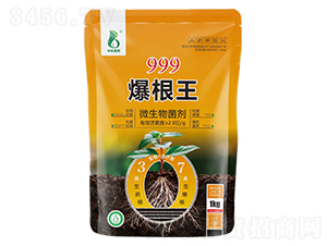 999������-���r(n��ng)�W��