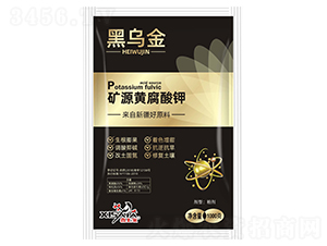 �VԴ�S�����-�ڞ���-����S