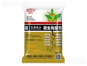 ΢�������-������(d��ng)��-�Մ�(chu��ng)�Ƽ�