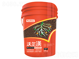 ΢�������-�֠���-�����֠���