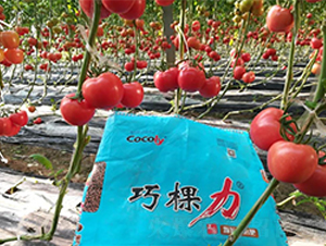 �ɿ����w��ˮ�ܷ����ڷ����ϰ����D