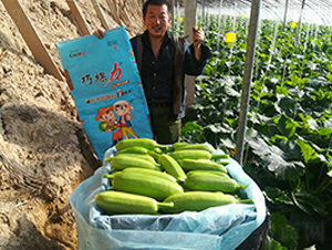 �ɿ����w��ˮ�ܷ����������J�ϰ����D