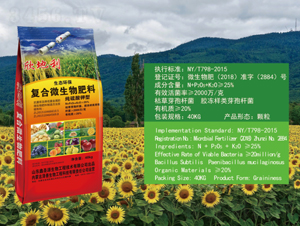 �ͺ�΢�������-������-��������