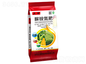 ���@����-����