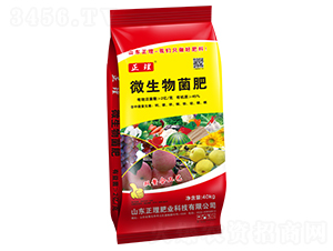 ΢�������-����