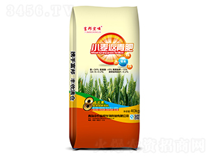 С�������-�������-���r(n��ng)����