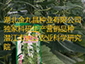 ����֥һ̖֥��N��Ʒ�N