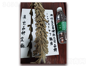 ��Ų�֥��N�ӌ����D