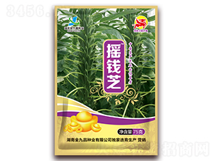 �u�X֥-֥��N��-��Ų�