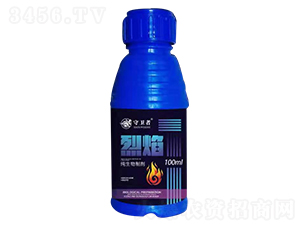 �������Ƅ�-����-�����h