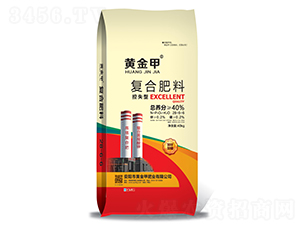 ��ʧ�͏�(f��)�Ϸ���28-6-6-�S���