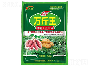 �t�����������f����-�ݴT-�ݠ��S