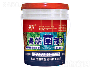 ���������΢�������-�S�տ�-���r(n��ng)����