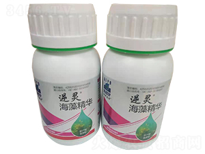 ���徫�A-���`-������(l��)