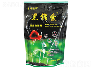 ΢�������-���\��-������