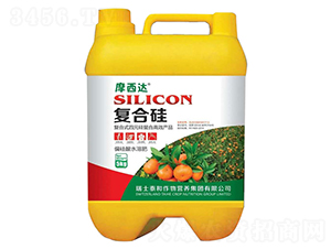 ��(f��)�Ϲ�-Ħ���_(d��)-������r(n��ng)