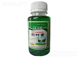 �G�~��-̩���r(n��ng)-������r(n��ng)