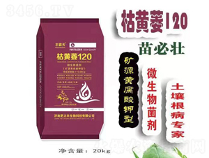 �S����-���Sή120-�����S