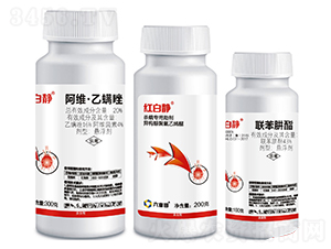 ������(zhu��n)��-�t���o-������