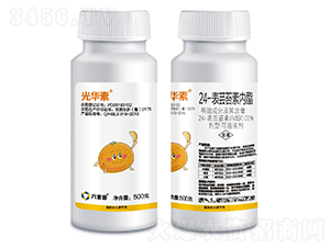 24-���|̦�؃�(n��i)��-���A��-������