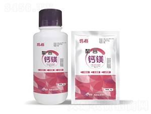 �����}�V��-�̸�-�ɭ����