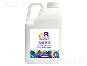 ����-�}�V������۹Ȱ��������ͣ�-���m�Ƽ�