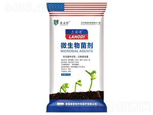 ΢�������-���x����-������