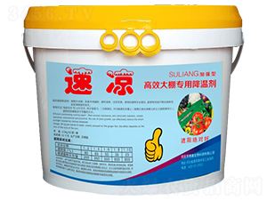 ����ý��؄�-����-���ؿ�