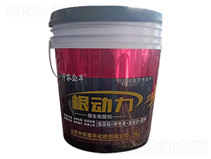 ΢�������-����(d��ng)��-���r(n��ng)ʢ�S