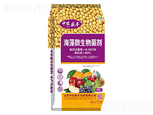 ����΢�������-���r(n��ng)ʢ�S