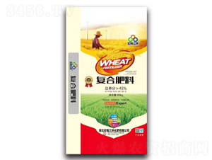 �ͺϷ���-�긣���h(hu��n)