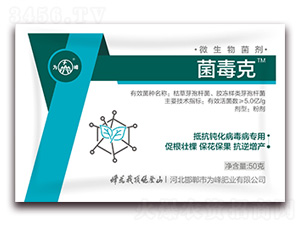 ΢�������-������-���ʘI(y��)