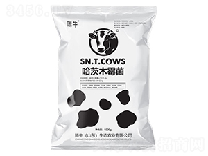 ����ľù��-�vţ