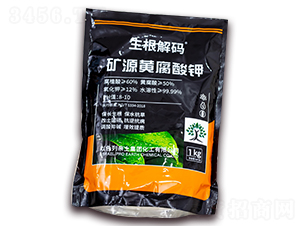 �VԴ�S�����-������a