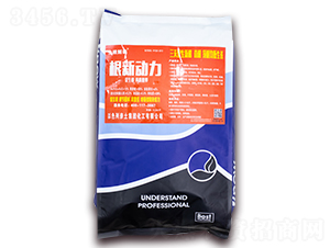 ����(d��ng)��-������a