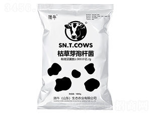 �ݲ�ѿ�ߗU��-�vţ