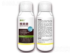 ��ϼ�(x��)������-������-�ξGԪ