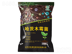 ����ľù��-����Դ