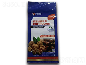 �������Ҍ��ÏͺϷ���-Ҽ���μ�