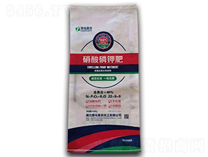 ������⛷�-Ҽ���μ�