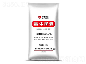 ���w����-Ҽ���μ�