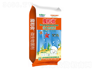 ΢�������-ħ����-�Ѝu����