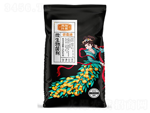 ΢�������-�Hϲ��-��ʩ�~��