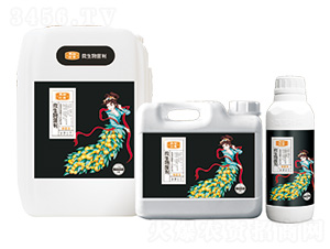 ΢�������-��ʩ�~��