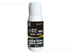 ������-С���-�֮��