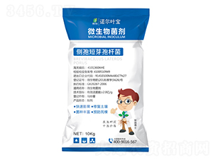 ΢�������-�Z���~��-�Z���S