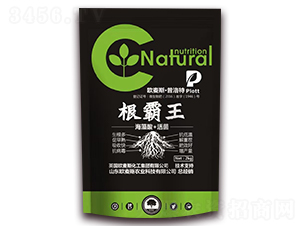 ������+���-���Ե�-�����S