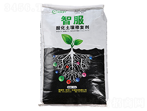 �ữ�����ޏ�(f��)��-�Ƿ�-ِ����