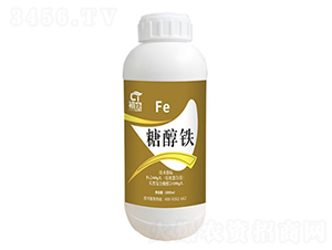 �Ǵ��F-����-�֮��